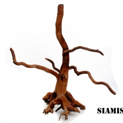 รากไม้แดงตกแต่งตู้ปลาหรือใช้เลี้ยงสัตว์เลื้อยคลาน 021