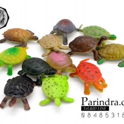 โมเดลเต่าชุด