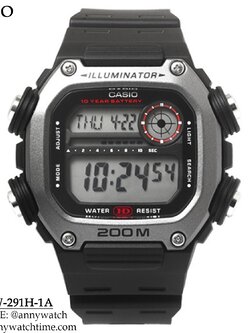 CASIO DW-291H-1A