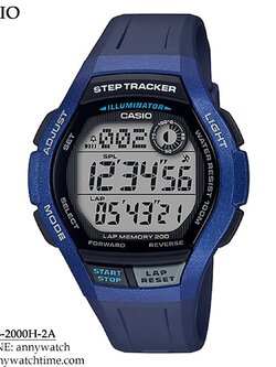 CASIO WS-2000H-2A