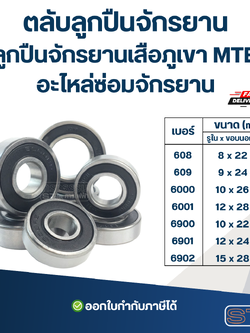 ตลับลูกปืนจักรยาน ลูกปืนจักรยานเสือภูเขา MTB อะไหล่ซ่อมจักรยาน