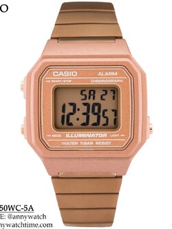 CASIO B650WC-5A