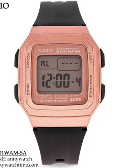 CASIO F-201WAM-5A