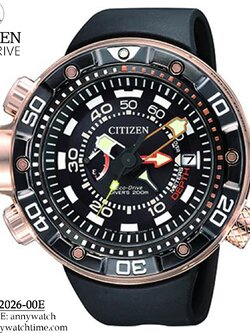 CITIZEN BN2026-00E