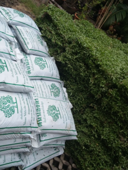 ดินปุ๋ย