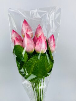 ดอกบัวตูมสีชมพู ขายเป็นดอก ดอกละ 35 บาท