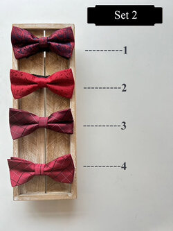 หูกระต่าย Set 2