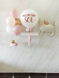 ลูกโป่ง Welcome Baby ลูกโป่งยาง ขนาด 24" สีขาว 1 ลูก พร้อม ช่อลูกโป่งสีโครเมี่ยม ช่อ 5 ลูก 1 ช่อ พร้อม ฟอยล์แมว 1 ชิ้น พร้อมตกแต่ง สามารถเปลี่ยนสีลูกโป่ง/เปลี่ยนข้อความ/เปลี่ยนขนาดได้
