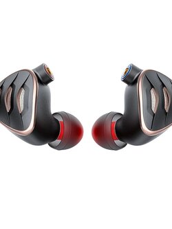 ขาย FiiO FH5S หูฟัง 4 ไดรเวอร์ 2DD+2BA ประกันศูนย์ไทย