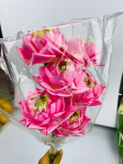 ดอกบัวบานสีชมพูอ่อน ดอกไม้ผ้าประดิษฐ์ ขายเป็นดอกดอกละ 35 บาท