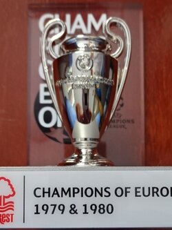 โมเดลถ้วยรางวัลฟุตบอล การแข่งขันฟุตบอลยูฟ่า แชมป์เปี้ยน ลีก - UEFA CHAMPIONS LEAGUE 3D TROPHY on an ACRYLIC PEDESTAL - สโมสรน็อตติ้งแฮม ฟอเรสต์ ราชันย์แห่งยุโรป 1979 และ 1980 ใหม่ / UEFA CHAMPIONS LEAGUE International Football Tournament Football Trophy M