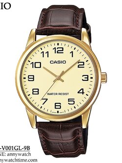 CASIO MTP-V001GL-9B