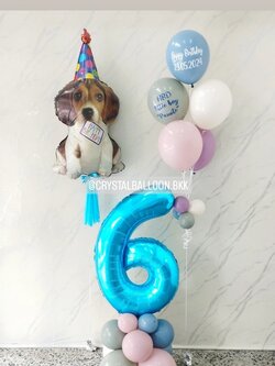 ลูกโป่ง วันเกิดเด็ก ฟอยล์บีเกิ้ล Anagram 1 ชิ้น พร้อม ฟอยล์ตัวเลข ขนาด 40" ตั้งฐาน 1 ชิ้น,ช่อลูกโป่ง ช่อ 5 ลูก 1 ช่อ พร้อมตกแต่ง สามารถเปลี่ยนสีลูกโป่ง/เปลี่ยนสี-ฟอยล์ตัวเลข/เปลี่ยนฟอยล์ตกแต่งได้