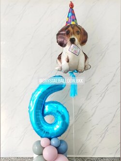 ลูกโป่ง วันเกิดเด็ก ฟอยล์บีเกิ้ล Anagram 1 ชิ้น พร้อม พู่ 1 ชิ้น,ฟอยล์ตัวเลข ขนาด 40" ตั้งฐาน 1 ชิ้น พร้อมตกแต่ง สามารถเปลี่ยนฟอยล์ตกแต่งได้