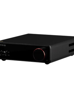 ขาย Topping PA5 แอมป์ตั้งโต๊ะ ภาคขยาย Fully Balanced Class D ประกันศูนย์ไทย