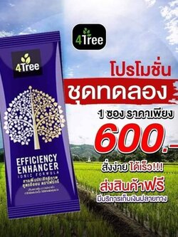 4Tree ของแท้ 100% ราคา 600 บาท