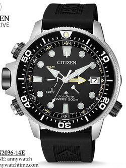 CITIZEN BN2036-14E