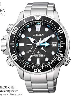 CITIZEN BN2031-85E