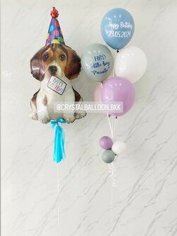 ลูกโป่ง วันเกิดเด็ก ฟอยล์บีเกิ้ล Anagram 1 ชิ้น พร้อม พู่ 1 ชิ้น,ช่อลูกโป่ง ช่อ 5 ลูก 1 ช่อ พร้อมตกแต่ง สามารถเปลี่ยนสีลูกโป่ง/เปลี่ยนข้อความ/เปลี่ยนฟอยล์ตกแต่งได้