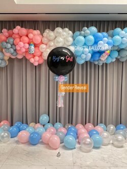 Organic Gender Reveal Theme พาสเทล ขนาด 4 เมตร พร้อม ลูกโป่งยาง ขนาด 24" สีดำ พร้อมตกแต่ง ลูกโป่งโปรยพื้น 50 ลูก สามารถเปลี่ยนสีลูกโป่ง/เปลี่ยนข้อความ/เปลี่ยนขนาดได้