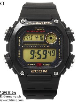 CASIO DW-291H-9A