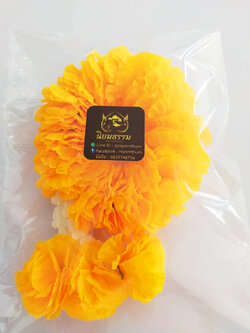 พวงมาลัย ดาวเรือง