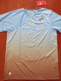 เสื้อฟุตบอล ทีมชาติ เอกภาพแอฟริกา 2010 ชุดพิเศษ ชุดลุยศึกฟุตบอลโลก 2010 ใหม่ M-Size / AFRICA UNITY 2010 Football Shirt Special Kit World Cup Final 2010 Jersey NEW M-Size