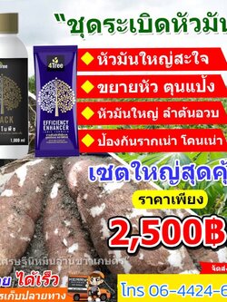 ชุดระเบิดหัวมัน สำหรับ 10 ไร่