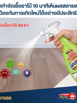 น้ำยากำจัดเชื้อราไม้ 10 นาทีเห็นผล สลายเชื้อรา [#7986] และป้องกันการเกิดใหม่ได้อย่างมีประสิทธิภาพ