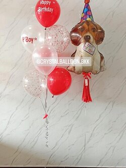 ลูกโป่ง วันเกิดเด็ก ฟอยล์บีเกิ้ล Anagram 1 ชิ้น พร้อม พู่ 1 ชิ้น,ช่อลูกโป่ง ช่อ 7 ลูก 1 Theme สีแดง พร้อมตกแต่ง สามารถเปลี่ยนสีลูกโป่ง/เปลี่ยนข้อความ/เปลี่ยนฟอยล์ตกแต่งได้