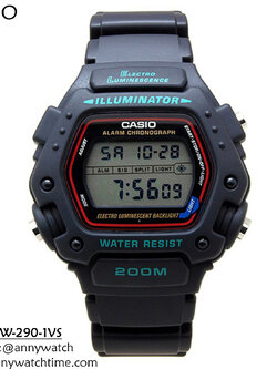 CASIO DW-290-1VS