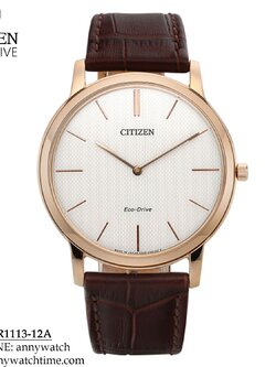 CITIZEN AR1113-12A