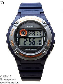 CASIO W-216H-2B