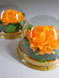 ดาวเรืองจิ๋ว |ไหว้พระ และเทพทุกพระองค์