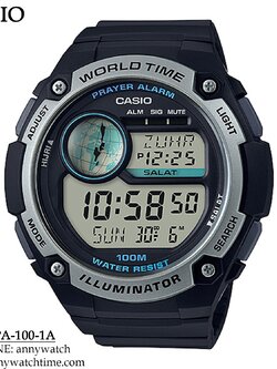 CASIO CPA-100-1A