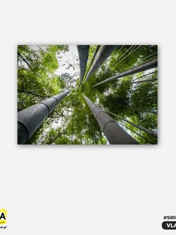 ภาพตกแต่งบ้านสำเร็จรูป Forest VLA00044 #SOdAcollection #ภาพตกแต่งบ้านสไตล์มงคล #ภาพมงคล #สิริมงคล #SIRIMONGKOL #FORTUNE