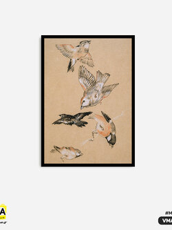 ภาพตกแต่งบ้านสำเร็จรูป Happy Birds VMA00009 #SOdAcollection #ภาพตกแต่งบ้านสไตล์มินิมอล #มินิมอล #MINIMAL