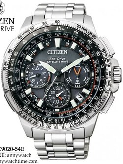 CITIZEN CC9020-54E