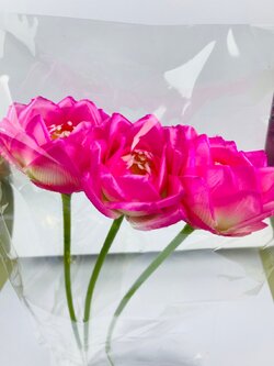 ดอกบัวผ้าสีชมพู ขายเป็นดอก ดอกละ 45 บาท