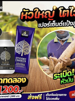 ชุดระเบิดหัวมัน ขนาดทดลอง 1200 บาท