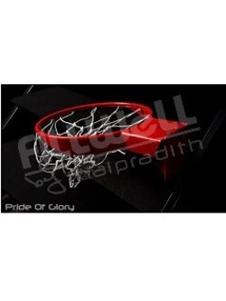 ห่วงบาสเกตบอล Dunk พร้อมตาข่าย >>> ที่สุดแห่งความภาคภูมิใจของ FILLWELL SPORTS