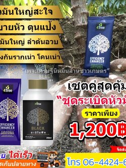 ชุดระเบิดหัวมัน ขนาดทดลอง 1200 บาท