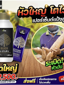 ชุดระเบิดหัวมัน ขนาดทดลอง 2500 บาท