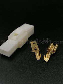 ช็อกเก็ต+หางปลา 1P(ใหญ่)