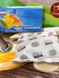 กำยาน ดาร์ชาน Darshan ของแท้ กลิ่น จำปา Champa Incents cone