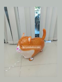 ลูกโป่งฟอยล์ลากจุง 1 ชิ้น , ลูกโป่งเปลี่ยนสีได้ สามารถเปลี่ยนฟอยล์ตกแต่งได้