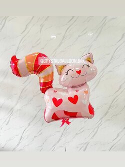 ลูกโป่ง วันเกิดเด็ก ฟอยล์แมว Anagram 1 ชิ้น พร้อมตกแต่ง สามารถเปลี่ยนฟอยล์ตกแต่งได้