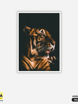 ภาพตกแต่งบ้านสำเร็จรูป เสือ Tiger VLA00031 #SOdAcollection #ภาพตกแต่งบ้านสไตล์มงคล #ภาพมงคล #สิริมงคล #SIRIMONGKOL #FORTUNE