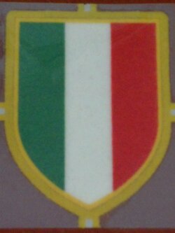 อาร์มสัญลักษณ์ฟุตบอล การแข่งขันฟุตบอลกัลโช่ เซเรียเอ - CALCIO SERIE A CHAMPIONS 'SCUDETTO' 2010/11 PLAYER SIZE ใหม่ / CALCIO SERIE A National Football League PLAYER SIZE Football Patch/Badge - CALCIO SERIE A CHAMPIONS 'SCUDETTO' 2010/1