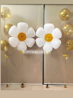 ลูกโป่ง Welcome Baby Theme ฟอยล์ดอกเดซี่ 2 ดอก พร้อมตกแต่ง ช่อลูกโป่ง 3 ลูก 2 ช่อ สามารถเปลี่ยนสีลูกโป่ง/เปลี่ยนข้อความ/เปลี่ยนฟอยล์ตกแต่งได้